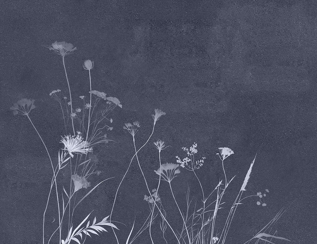 Minimalist blue floral wall mural