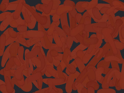 Dark red abstract brush strokes wall mural