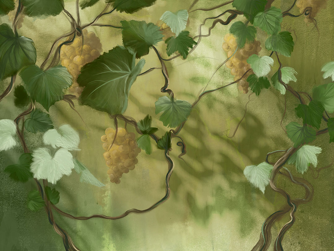 Wall mural with bunches of grapes, vines, and leaves in green colours